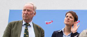 Frauke Petry (r.) und Alexander Gauland (l) werden kein Spitzenteam für die Bundestagswahl bilden. 