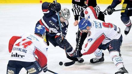 Kämpfen und siegen. Das gilt für die Eisbären in Spiel sechs.