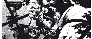 Auf der Schattenseite: Eine Seite aus „Creepy präsentiert: Bernie Wrightson“.