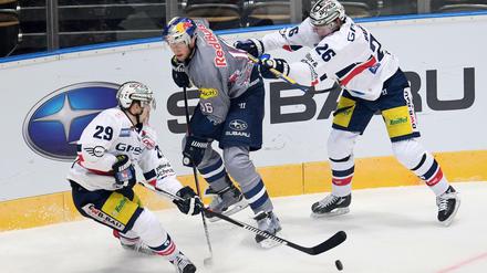 Gemeinsam ins Finale? In der Hauptrunde war München deutlich stärker, die Eisbären haben sich in den Play-offs aber deutlich gesteigert.
