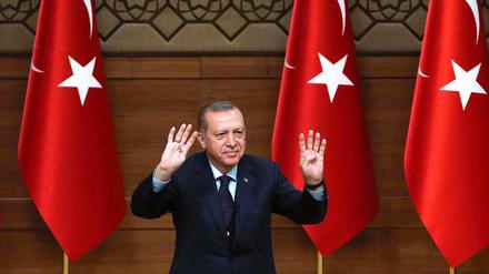 Alles halb so wild? Der türkische Präsident Erdogan hat den hitzigen Streit um Wahlkampfauftritte türkischer Politiker in Deutschland beendet.