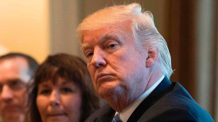 Widerstand aus den eigenen Reihen: US-Präsident Donald Trump 