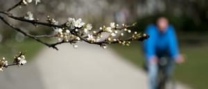 Das gute an der Sommerzeit: Es wird wärmer.