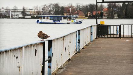Was gibt es neues aus Treptow-Köpenick? Darüber informiert Sie unser Leute-Newsletter am Montag.