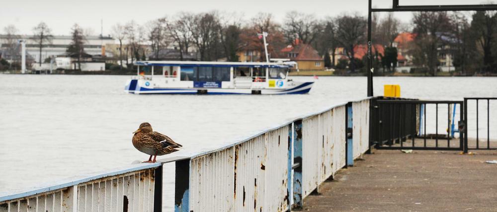 Was gibt es neues aus Treptow-Köpenick? Darüber informiert Sie unser Leute-Newsletter am Montag.