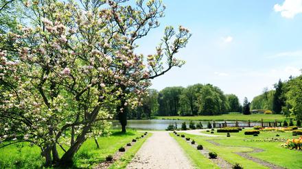 Brandenburg hat viel zu bieten. Auf dem Bild sieht man den Park Wiesenburg. Wir haben noch ein paar Tipps mehr.