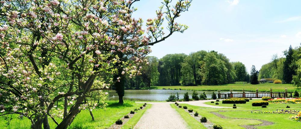 Brandenburg hat viel zu bieten. Auf dem Bild sieht man den Park Wiesenburg. Wir haben noch ein paar Tipps mehr.