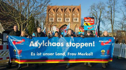 Teilnehmer einer AfD-Demonstration in Brandenburg.