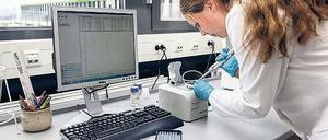 Auf der Suche. Gegen einen neuen starken Mittelbau spricht, dass Stellenpläne „zubetoniert“ würden.