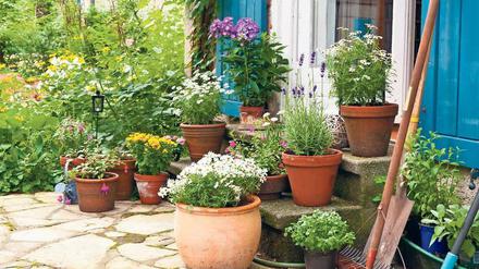 Zurück zur Natur: Es darf gepflanzt werden. Wer es klug angeht, trägt zum Umweltschutz bei.