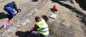 Archäologen sind bei einer Grabung zu sehen.