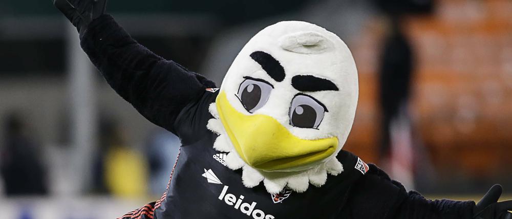 Vielleicht bekommt D.C.'s Maskottchen Talon ja bald einen neuen Kollegen.