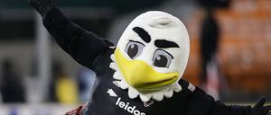 Vielleicht bekommt D.C.'s Maskottchen Talon ja bald einen neuen Kollegen.