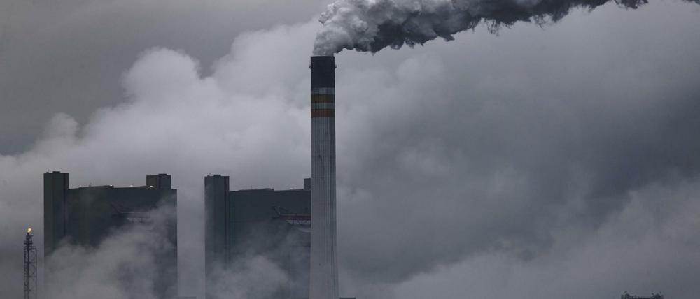 In die Luft. Ein Braunkohlekraftwerk im sachsen-anhaltinischen Schkopau.