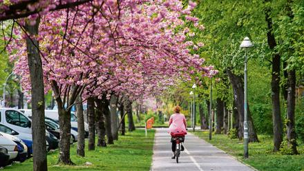 Radfahrer sollen es in Berlin künftig besser haben, wenn es nach IHK und ADFC geht.