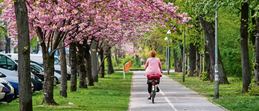 Radfahrer sollen es in Berlin künftig besser haben, wenn es nach IHK und ADFC geht.