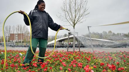 Letzte Vorbereitungen für die Internationale Gartenausstellung «IGA Berlin 2017» in Marzahn. 