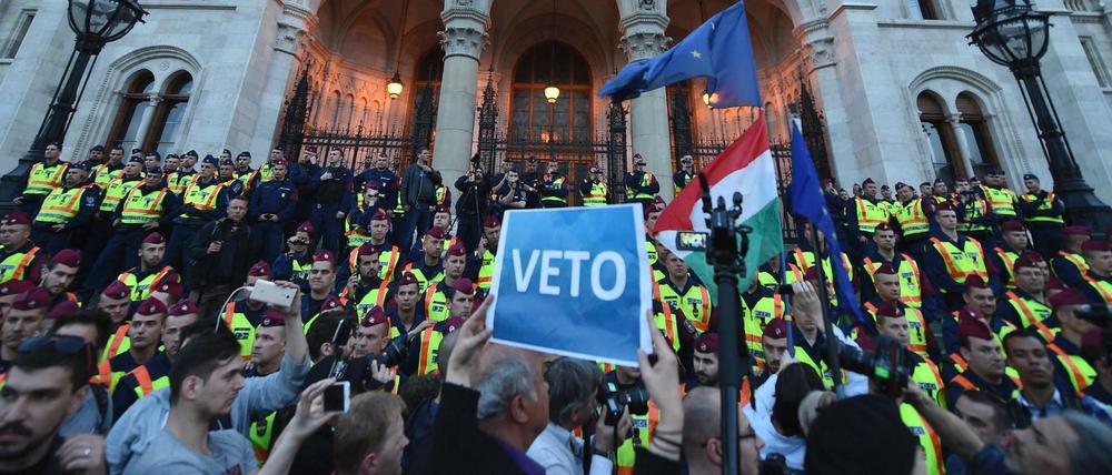 Demonstranten protestieren vor dem Parlament in Budapest gegen die Willkürmaßnahmen gegen die Central European University. 