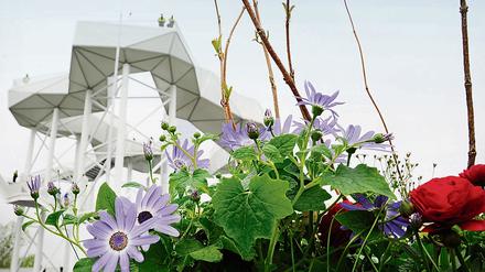 In Marzahn-Hellersdorf dreht sich alles um die kommende Internationale Gartenausstellung.