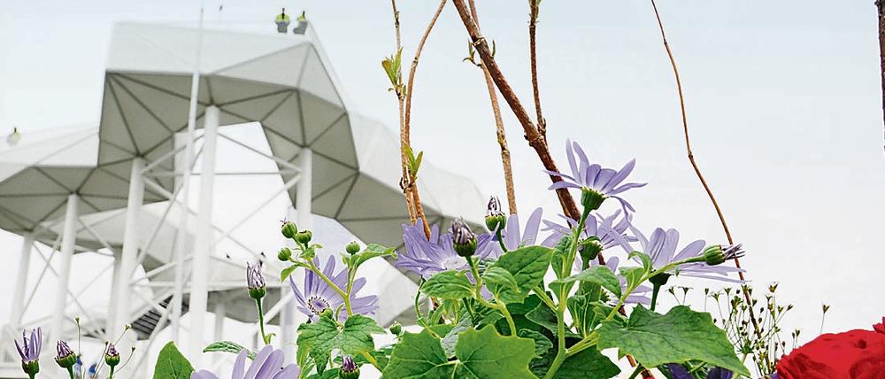 In Marzahn-Hellersdorf dreht sich alles um die kommende Internationale Gartenausstellung.