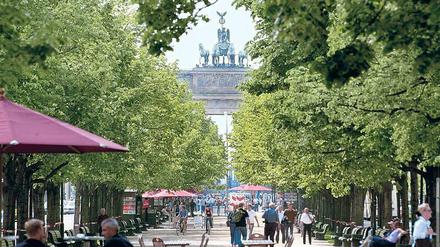 Wahrzeichen in Grün. Was wäre Berlin ohne die Linden? 