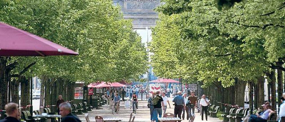 Wahrzeichen in Grün. Was wäre Berlin ohne die Linden? 