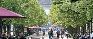 Wahrzeichen in Grün. Was wäre Berlin ohne die Linden? 