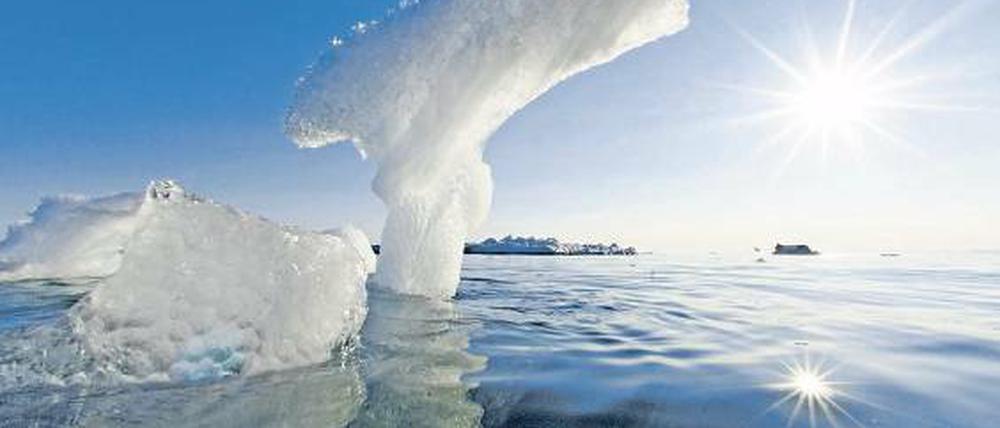 Im Nordpolarmeer bei Grönland könnte es bald vorbei sein mit dem ewigen Eis.