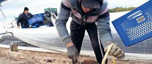 Foto: Maurizio Gambarini/dpa