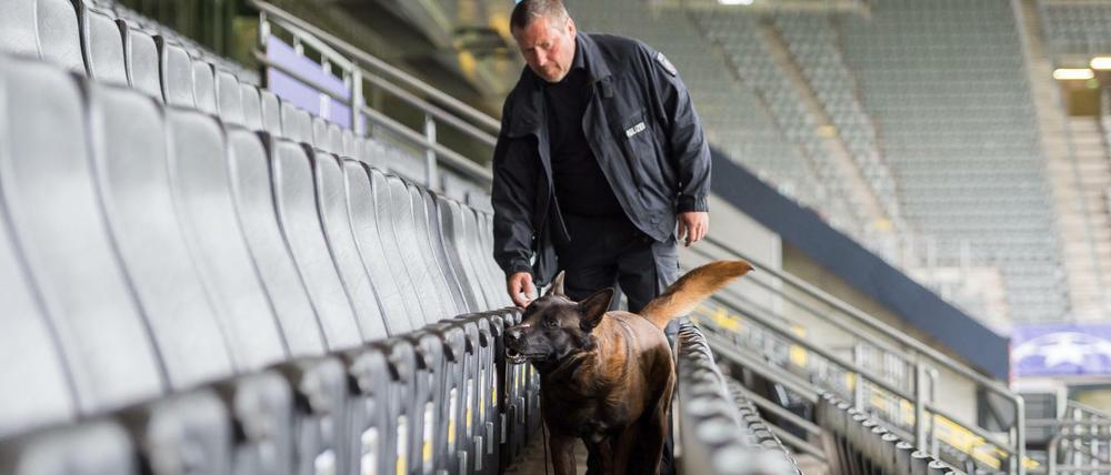 Höchste Sicherheit: Ein Hund sucht die Tribünen im Dortmunder Station vor dem Spiel nach Sprengstoff ab.