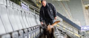 Höchste Sicherheit: Ein Hund sucht die Tribünen im Dortmunder Station vor dem Spiel nach Sprengstoff ab.