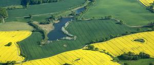 Landwirtschaft funktioniert seit Jahrtausenden schon auch ohne IT. 