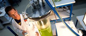 Gruen und trueb ist die Fluessigkeit in dem Glaszylinder, der am Karlsruher Institut fuer Technologie (KIT) aufgebaut ist. Dieser Plattenreaktor dient der Kultivierung von Mikroalgen. Die Algen sollen langfristig einen Kraftstoff liefern, der nicht nur Fahrzeuge antreibt, sondern auch Kraftwerke wie Biomasseanlagen.