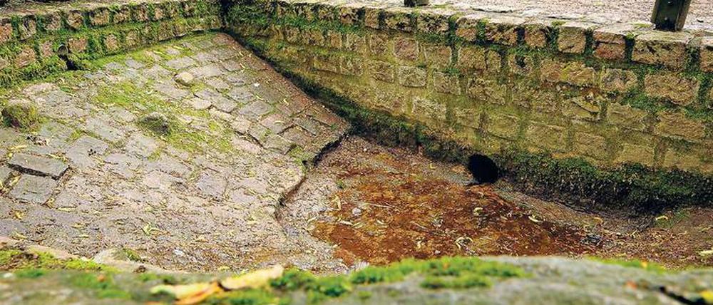 Die Osterquelle gilt als einziger sprudelnder Born Berlins. Davon ist aber nicht immer was zu sehen.