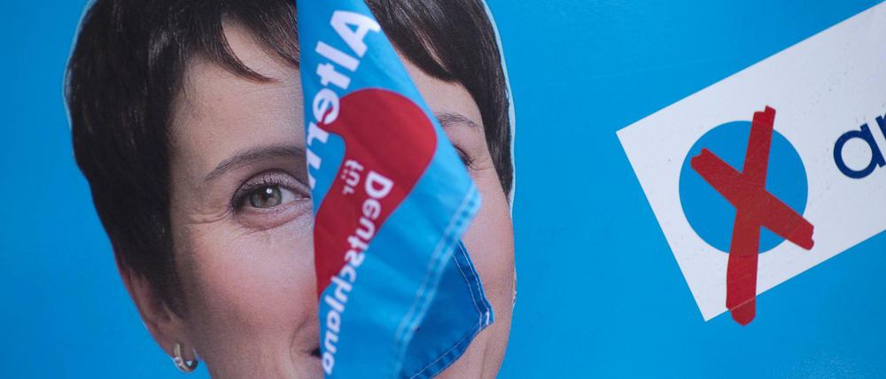 Ein Plakat mit der AfD-Vorsitzenden Frauke Petry. 