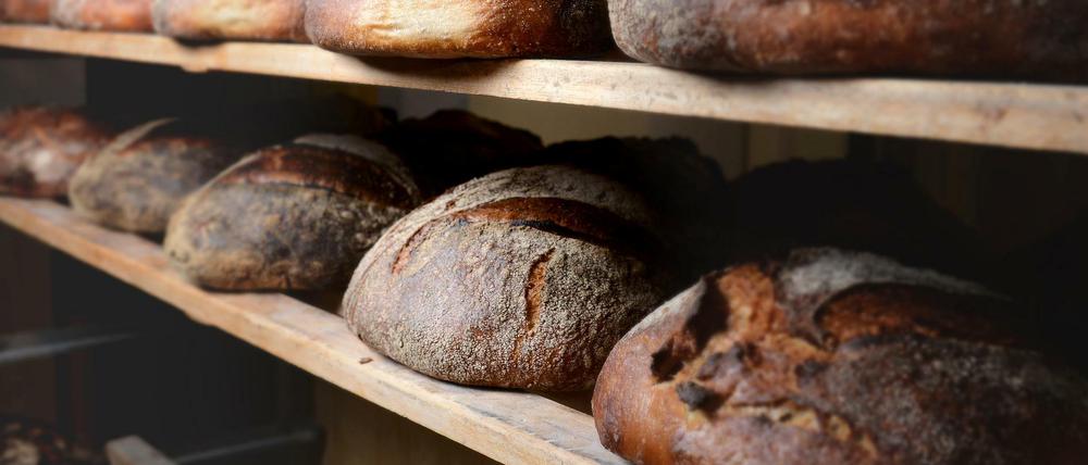 Sauerteigbrote bilden auch nach dem Backen noch Aromen aus. Florian Domberger empfiehlt deshalb, das Roggenbrot niemals warm, am besten erst am nächsten Tag anzuschneiden.