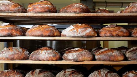 Das Roggenbrot der Bäckerei Domberger Brot Werk, Essener Straße 11, Moabit