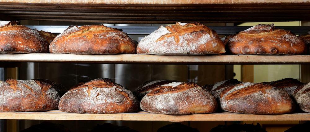 Das Roggenbrot der Bäckerei Domberger Brot Werk, Essener Straße 11, Moabit