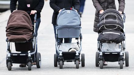 Kinderwagen im Test: Welchen Modellen können Sie vertrauen? 