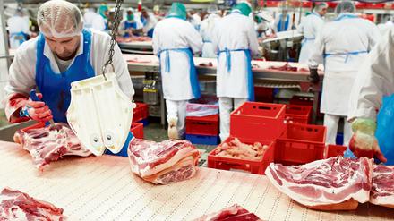 Das Unternehmen machte 2016 weltweit mit 12.500 Mitarbeitern 6,35 Milliarden Euro Umsatz.