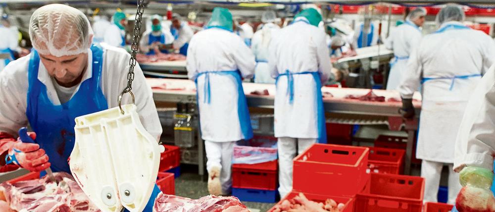 Das Unternehmen machte 2016 weltweit mit 12.500 Mitarbeitern 6,35 Milliarden Euro Umsatz.