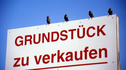 Mangelware. Die Nachfrage nach Baugrund in Berlin und Umland ist groß.