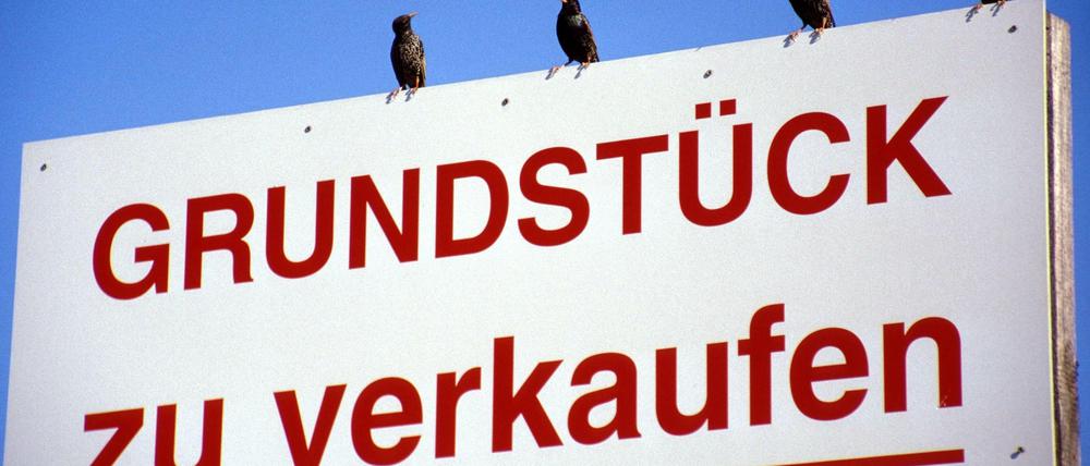 Mangelware. Die Nachfrage nach Baugrund in Berlin und Umland ist groß.