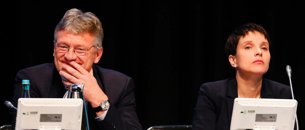 Jörg Meuthen und Frauke Petry. 