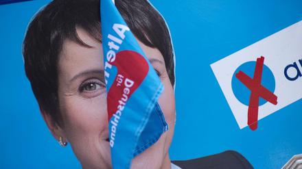 Rückzug: Frauke Petry will AfD nicht in den Bundestagswahlkampf führen.