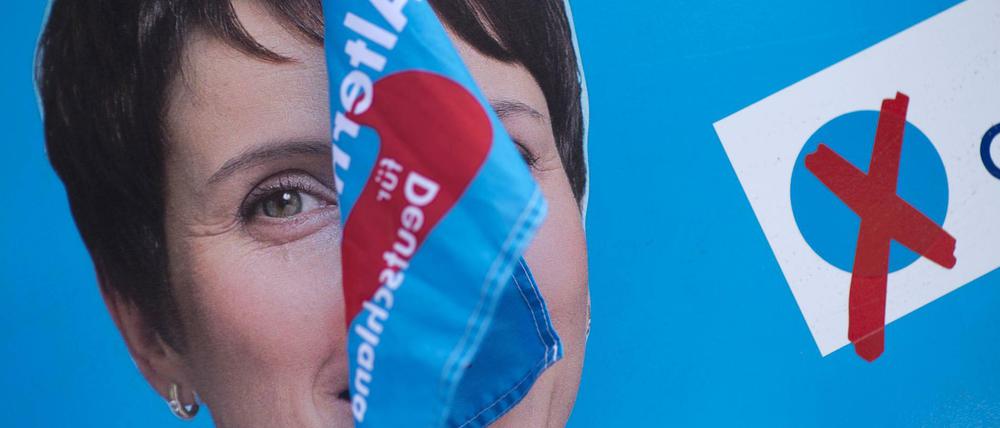 Rückzug: Frauke Petry will AfD nicht in den Bundestagswahlkampf führen.