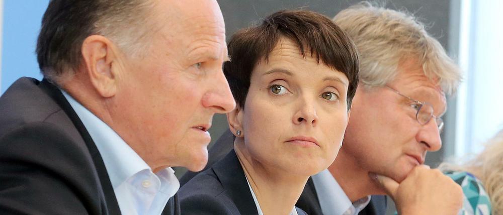 Der Berliner AfD-Chef Georg Pazderski und die Bundesvorsitzenden Frauke Petry und Jörg Meuthen.