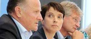 Der Berliner AfD-Chef Georg Pazderski und die Bundesvorsitzenden Frauke Petry und Jörg Meuthen.