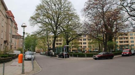 Hier soll bald buntes Markttreiben herrschen.