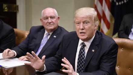 US-Präsident Donald Trump.